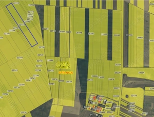 Teren agricol Stelnica, 4,5 HA, Unic propietar - imagine 3 Teren agricol Stelnica, 4,5 HA, Unic propietar - imagine 3