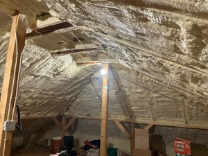 Casa de vanzare Bacau, Hemeiusi - imagine 10