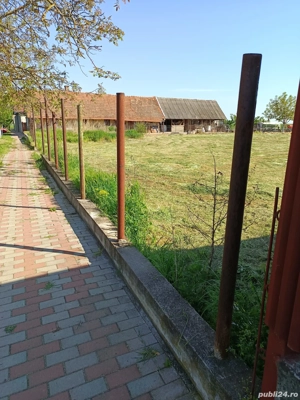 Teren intravilan Hodoni - imagine 2