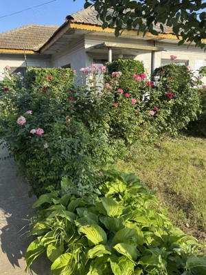 Casa de vanzare Stelnica Ialomita