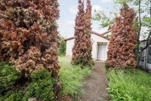 Teren de vanzare*Gradistea