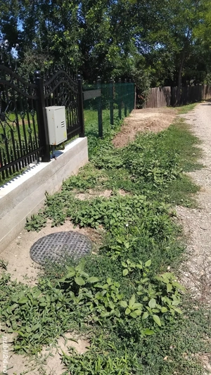 Teren intravilan Tutora - imagine 5