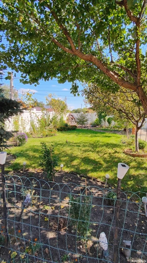 vila Puchenii moșneni  - imagine 5