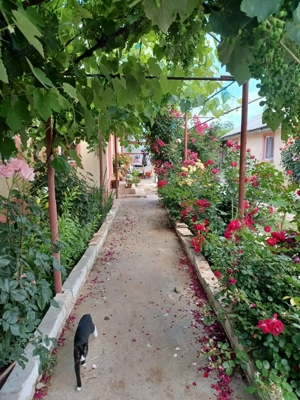 Casa de vanzare - imagine 7