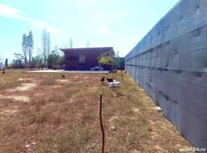 2000 mp intravilan Curtișoara - Pietrisu, 6km de oras - imagine 6