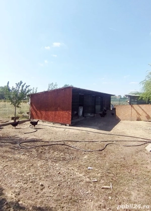 2000 mp intravilan Curtișoara - Pietrisu, 6km de oras - imagine 10