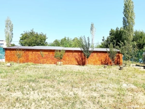 2000 mp intravilan Curtișoara - Pietrisu, 6km de oras - imagine 4