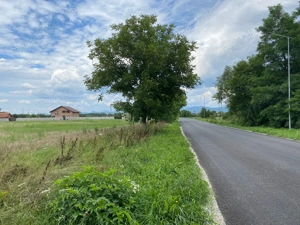 Teren intravilan la stradă, toate utilitățile, Băcia, Hunedoara - imagine 5