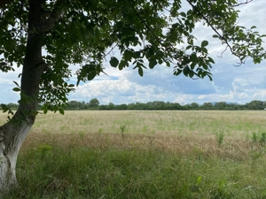 Teren intravilan la stradă, toate utilitățile, Băcia, Hunedoara - imagine 3