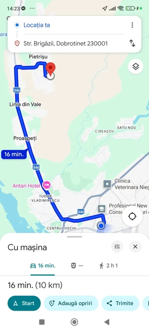 2000 mp intravilan Curtișoara - Pietrisu, 6km de oras - imagine 2