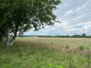 Teren intravilan la stradă, toate utilitățile, Băcia, Hunedoara - imagine 8