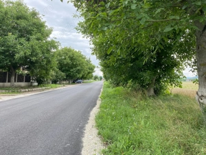 Teren intravilan la stradă, toate utilitățile, Băcia, Hunedoara - imagine 9