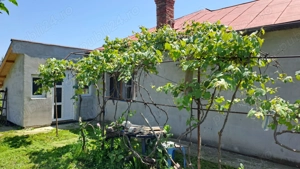 Casa si teren 1500m - imagine 5