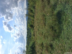 Vand teren - imagine 2