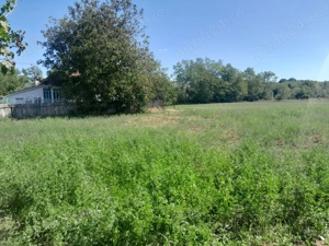 Casa bătrânesc + 7000 mp teren intravilan - imagine 3