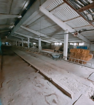 Hala productie de vanzare - imagine 2