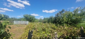 casa la tara  - imagine 4