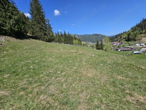 Teren de vanzare in Bucovina zona Pojorata pe Transrarau - imagine 4