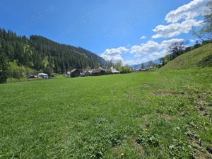 Teren de vanzare in Bucovina zona Pojorata pe Transrarau - imagine 5