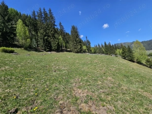 Teren de vanzare in Bucovina zona Pojorata pe Transrarau - imagine 9