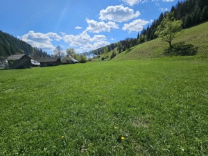 Teren de vanzare in Bucovina zona Pojorata pe Transrarau - imagine 7