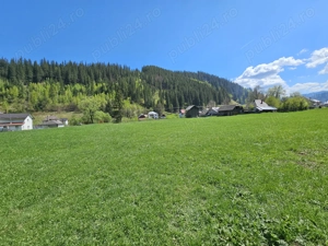 Teren de vanzare in Bucovina zona Pojorata pe Transrarau - imagine 6