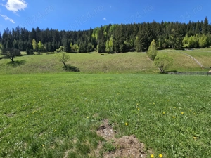 Teren de vanzare in Bucovina zona Pojorata pe Transrarau - imagine 8