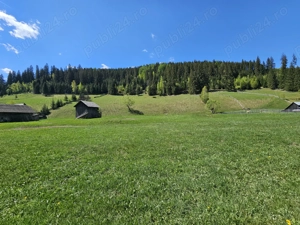 Teren de vanzare in Bucovina zona Pojorata pe Transrarau - imagine 3