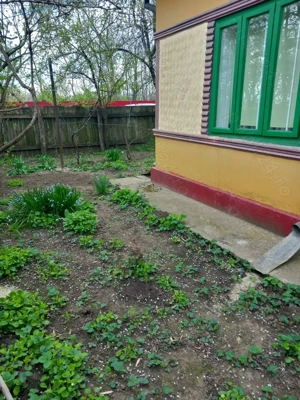 Casa batraneasca si teren de vanzare: Silistraru, Braila - imagine 4