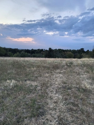 Casa la Tara de Vanzare