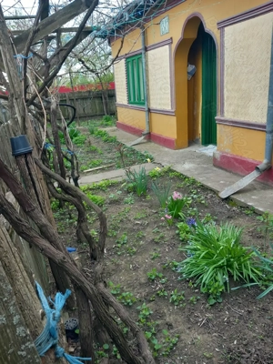 Casa batraneasca si teren de vanzare: Silistraru, Braila - imagine 3