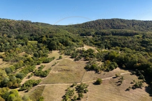 Terenuri 12.225 mp - Ramnicu Valcea, Aranghel - imagine 10