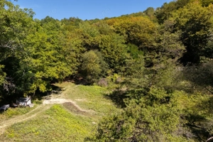 Terenuri 12.225 mp - Ramnicu Valcea, Aranghel - imagine 7