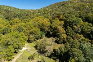 Terenuri 12.225 mp - Ramnicu Valcea, Aranghel - imagine 5