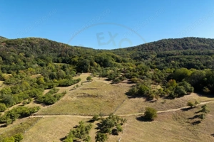 Terenuri 12.225 mp - Ramnicu Valcea, Aranghel - imagine 4