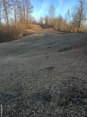 vanzare teren Runcu (DB) - imagine 3 vanzare teren Runcu (DB) - imagine 3