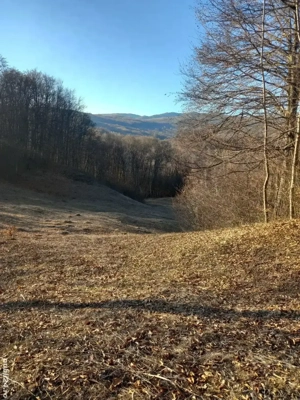 vanzare teren Runcu (DB) - imagine 2 vanzare teren Runcu (DB) - imagine 2