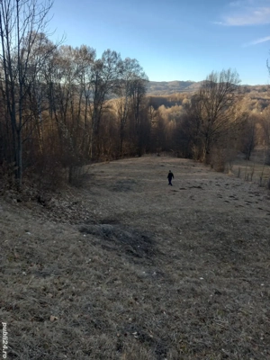 vanzare teren Runcu (DB) - imagine 4 vanzare teren Runcu (DB) - imagine 4