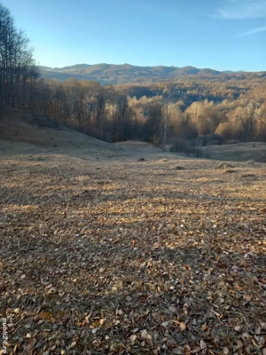 vanzare teren Runcu (DB) - imagine 5 vanzare teren Runcu (DB) - imagine 5