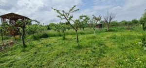 Vând sau Schimb cu apartament -Casa Com. Gurahonț sat Bontesti -3000mp - imagine 6