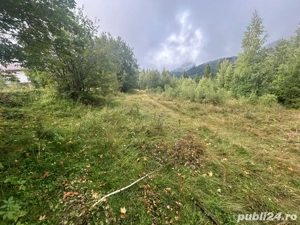 Teren intravilan la drum Muntele Baisorii  - imagine 2
