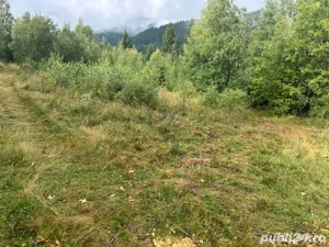 Teren intravilan la drum Muntele Baisorii  - imagine 3