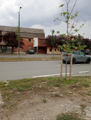 spatiu comercial lîngă piața mehala - imagine 4