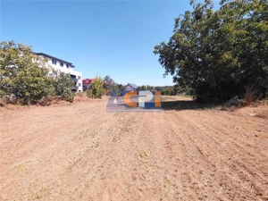VANZARE TEREN INTRAVILAN  MAGURELE  2530 mp zona CODRULUI - imagine 2