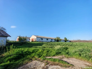 Vand 10000 teren intravilan cu 2 grajduri