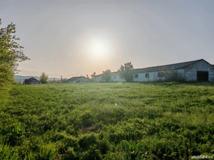 Vand Casa  - imagine 8