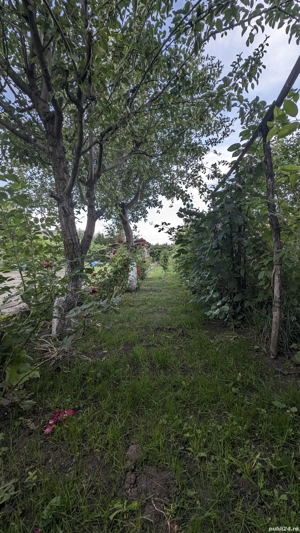 Vand teren în Veteranii de război  - imagine 4