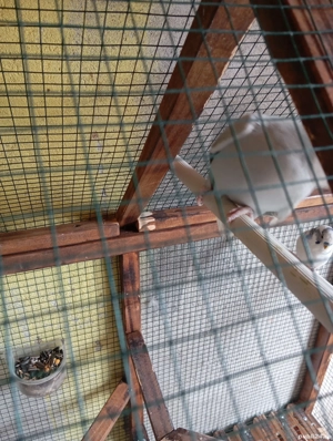 micul Alexandru  - imagine 4