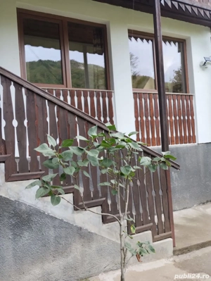 vand cabana la Rimetea,Alba - imagine 4