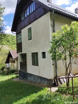 vand cabana la Rimetea,Alba - imagine 5